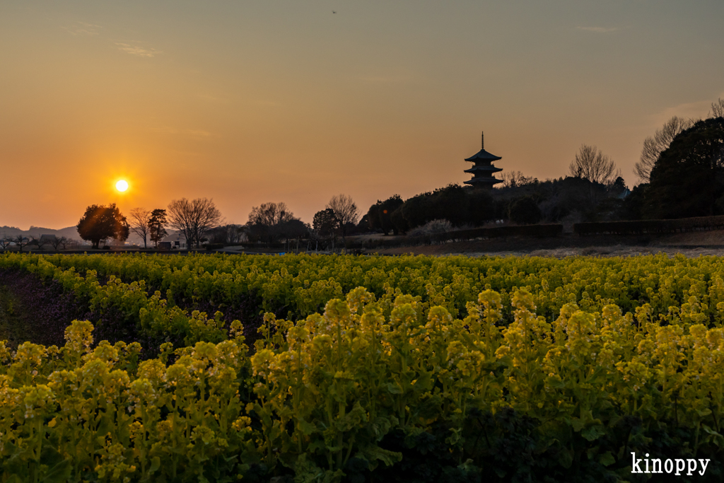 備中国分寺 夕景