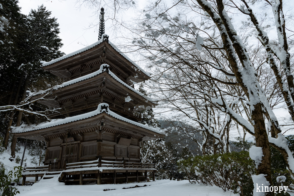 高源寺 冬景色 3