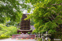 談山神社 新緑 2