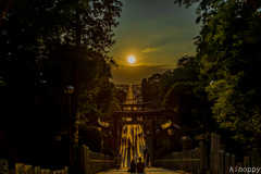 宮地嶽神社 光の道