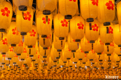 姫路護國神社 新年万灯祭 4