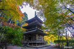 高源寺 紅葉 3