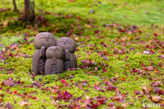 詩仙堂 紅葉 5