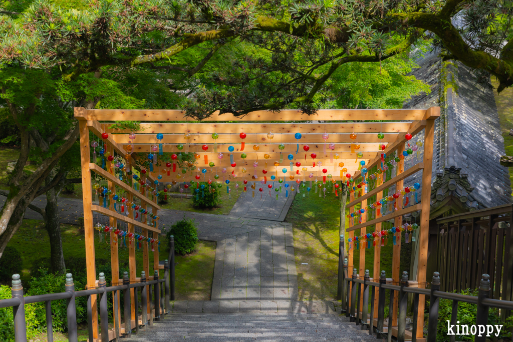 西教寺 風鈴 3