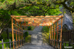 西教寺 風鈴 3