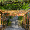 西教寺 風鈴 3