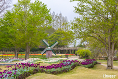 兵庫県立フラワーセンター 2