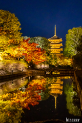 東寺 ライトアップ 7