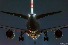 大阪国際空港 5