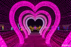 神戸イルミナージュ 7