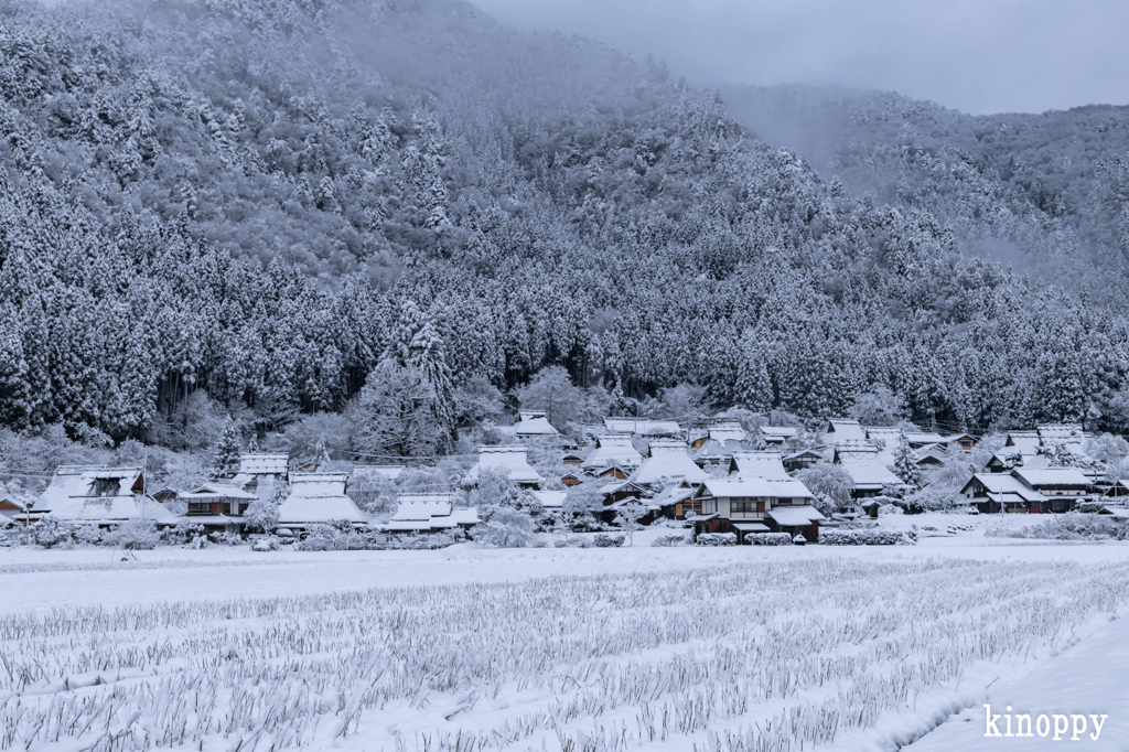 かやぶきの里 雪景色