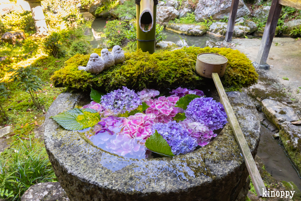 柳谷観音楊谷寺 5