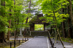 法然院 新緑