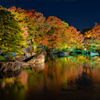 姫路城 好古園 紅葉 ライトアップ 2