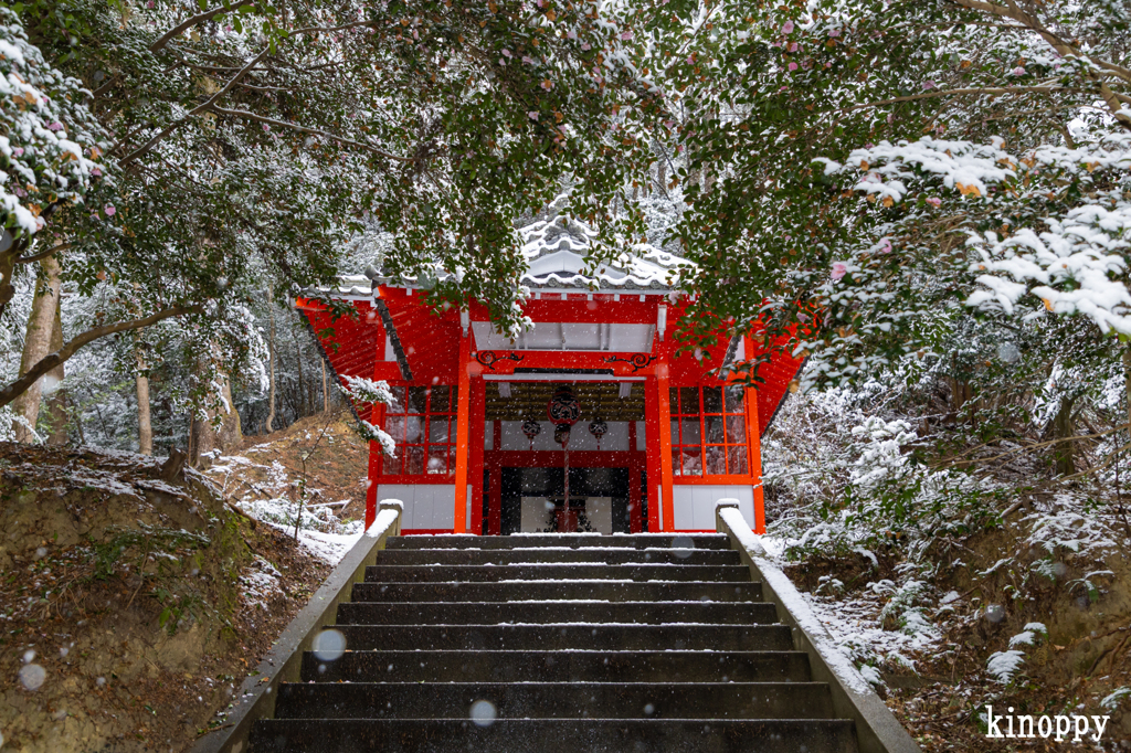 安志稲荷神社 雪景色 3