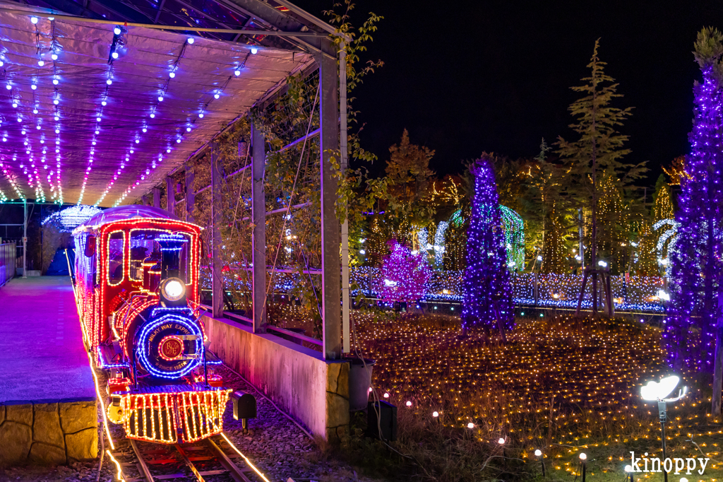 ローザンベリー多和田 イルミネーション