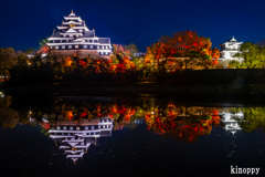 岡山城 烏城灯源郷 2