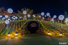 ローザンベリー多和田 イルミネーション 3