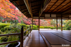 詩仙堂 紅葉 3