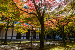 呑山観音寺 紅葉 5