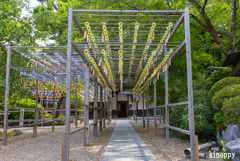正寿院 風鈴