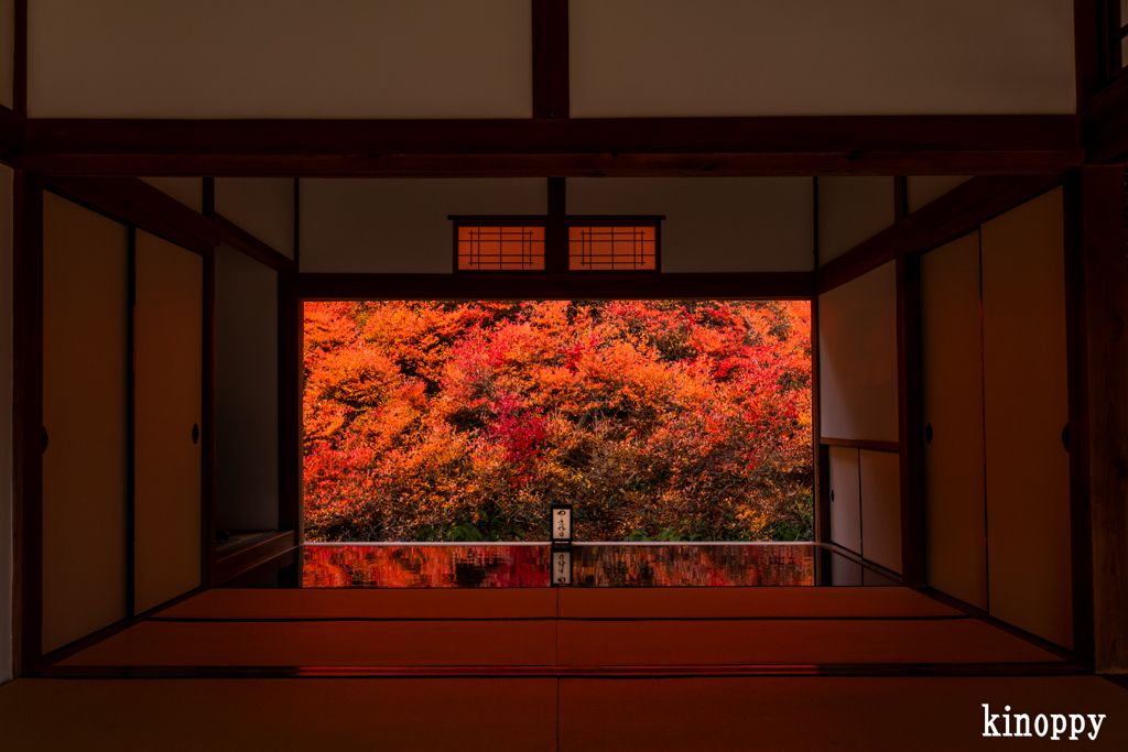 安国寺 紅葉