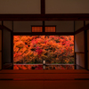 安国寺 紅葉
