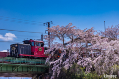 嵯峨野トロッコ列車 3