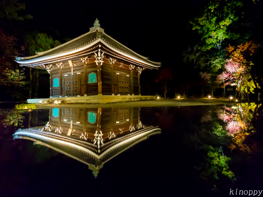 仁和寺 ライトアップ 4