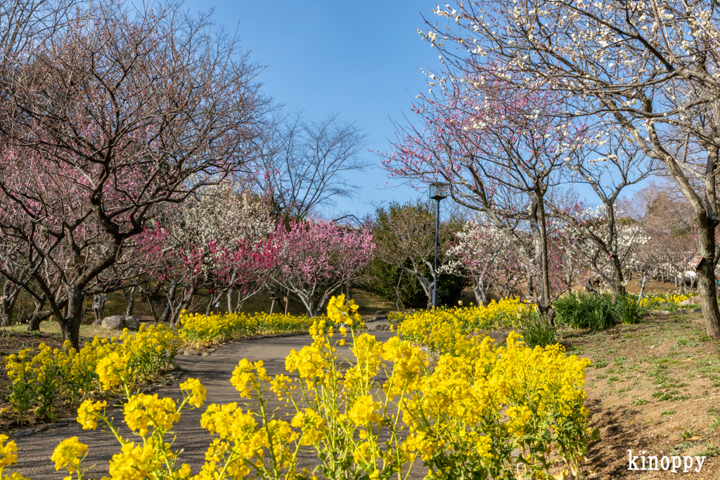 須磨離宮公園