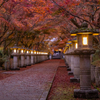 高山寺 紅葉 2