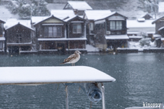 伊根の舟屋 雪景色 4