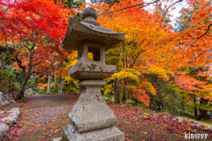 龍穏寺 紅葉 3