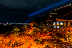 清水寺 紅葉 ライトアップ