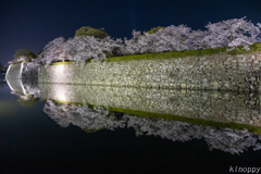 姫路城 和傘幻想 華灯り 13