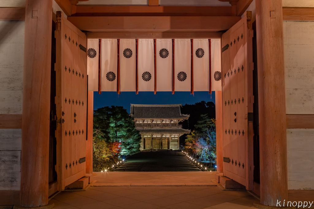 仁和寺 ライトアップ 3