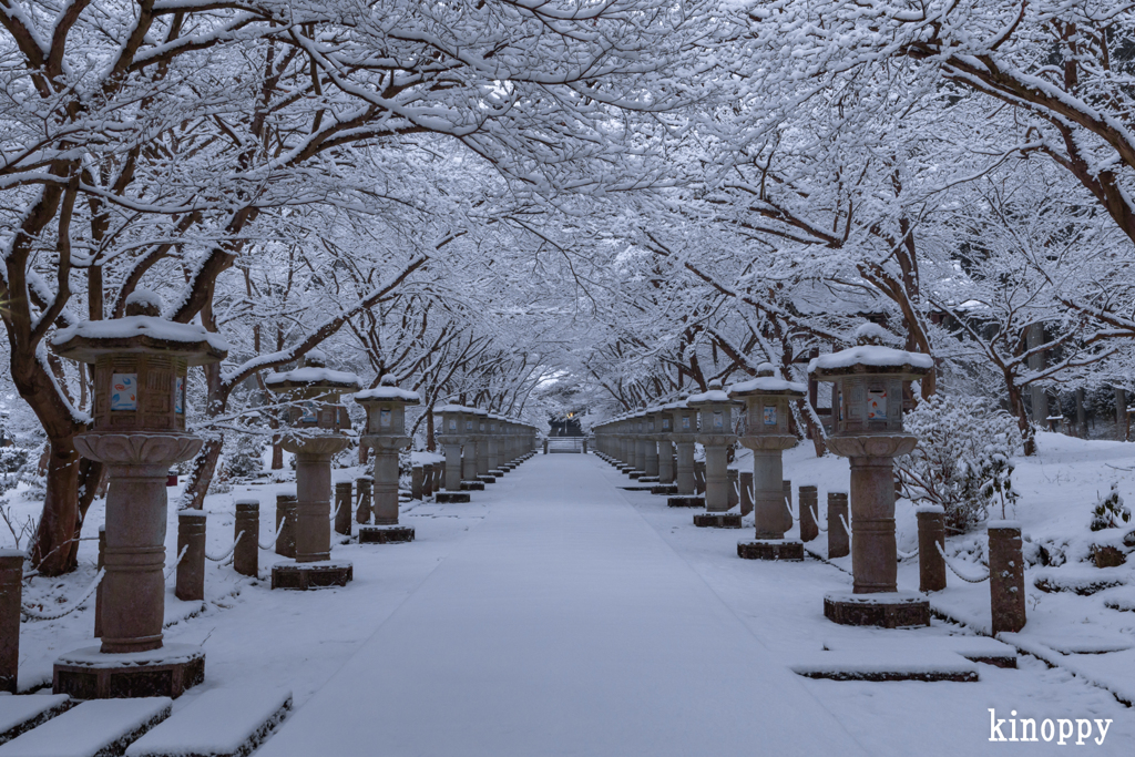 高山寺 雪景色