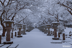 高山寺 雪景色