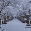 高山寺 雪景色
