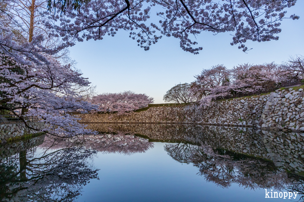 姫路城 春景色 2