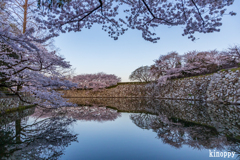 姫路城 春景色 2