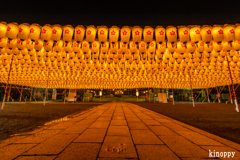 姫路靖國神社 新年万灯祭 2