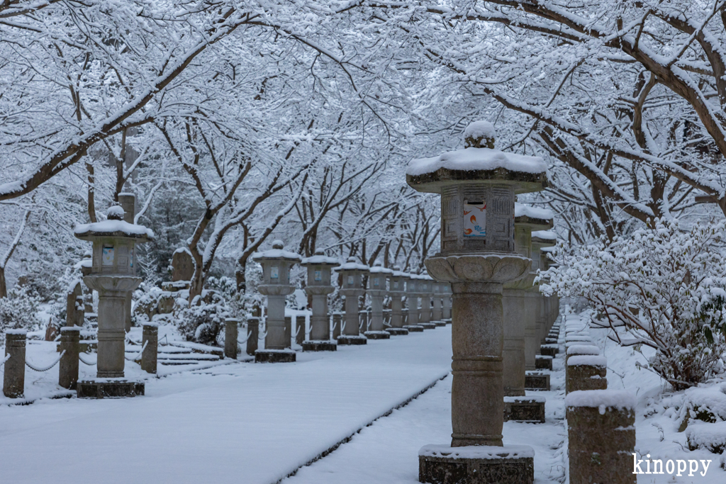高山寺 雪景色 2