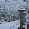 高山寺 雪景色 2