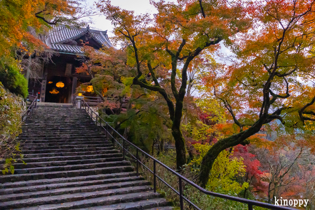 長谷寺 紅葉 3
