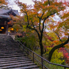 長谷寺 紅葉 3