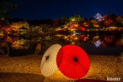 岡山後楽園 幻想庭園