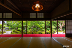 圓光寺 新緑