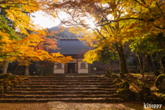 高源寺 紅葉 8