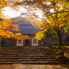 高源寺 紅葉 8